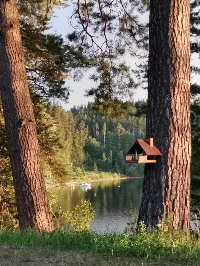 Апартаменти Vuori Camp By Saimaa Vuoriniemi Екстер'єр фото